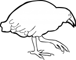 Takahe