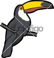 Toco ToucanFreehand Image