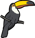 Toco Toucan freehand drawings