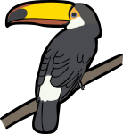 Toco Toucan