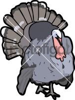 TurkeyFreehand Image