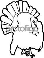 TurkeyFreehand Image