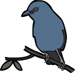 Unicolored Jay freehand drawings