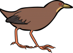 Uniform Crake