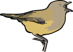 Weebill