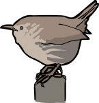 Wren