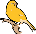 Yellow Canary