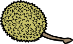 Durian freehand drawings