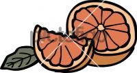 GrapefruitFreehand Image