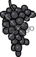 GrapeFreehand Image