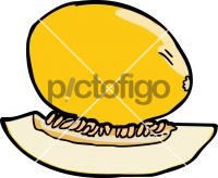 canary melonFreehand Image