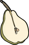pear freehand drawings
