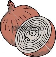 Onion SlicesFreehand Image