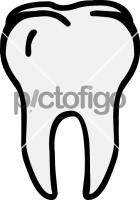 toothFreehand Image