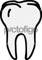 toothFreehand Image
