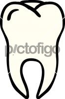 toothFreehand Image