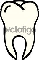 tooth