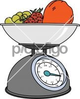 Kitchen Scale