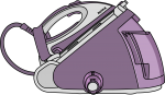 Steam Generator Iron