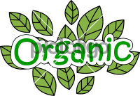 OrganicFreehand Image