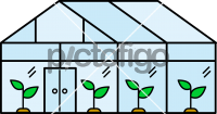 Greenhouse