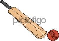 CricketFreehand Image