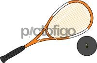 Squash RacketsFreehand Image