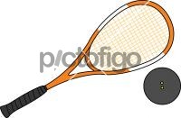 Squash Rackets