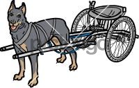 Dog CartFreehand Image